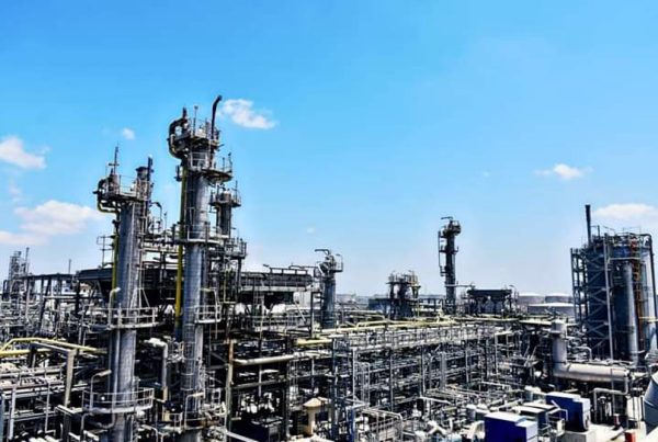 Alexandria Mineral Oils Company (AMOC)